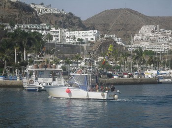 barco Cavalier Cavalier & Blue Marlin Sport Fishing Gran Canaria