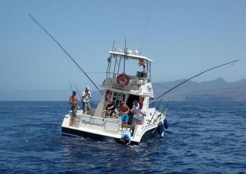 the fight Cavalier & Blue Marlin Sport Fishing Gran Canaria
