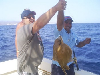 Common Stingray Cavalier & Blue Marlin Sport Fishing Gran Canaria