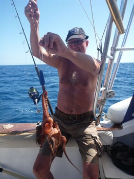 Bläckfisk Cavalier & Blue Marlin Sport Fishing Gran Canaria