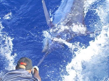 tagga och släpp Cavalier & Blue Marlin Sport Fishing Gran Canaria