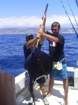 Svart stingray Cavalier & Blue Marlin Sport Fishing Gran Canaria
