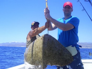 Fjärilsstråle Cavalier & Blue Marlin Sport Fishing Gran Canaria