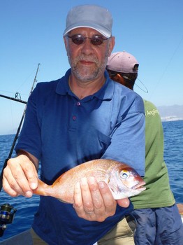 Red Banded Seabream Cavalier & Blue Marlin Sport Fishing Gran Canaria