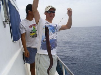 Moray Eel Cavalier & Blue Marlin Sport Fishing Gran Canaria