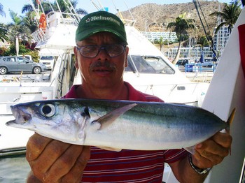 New Boat Record Cavalier & Blue Marlin Sport Fishing Gran Canaria