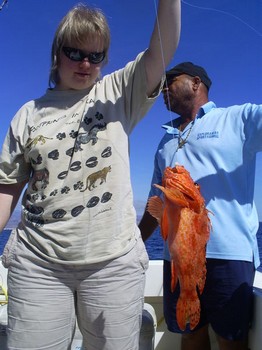 Scorpion or Fire fish Cavalier & Blue Marlin Sport Fishing Gran Canaria