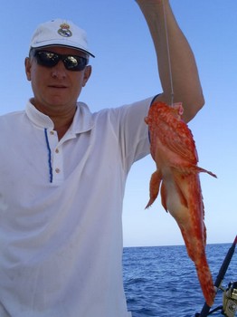 Scorpion or Fire fish Cavalier & Blue Marlin Sport Fishing Gran Canaria