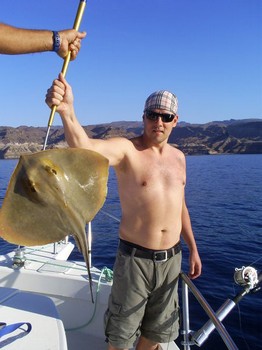 Gemeiner Stachelrochen Cavalier & Blue Marlin Sportfischen Gran Canaria