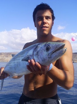 31/12 Atlantischer Sierra Thunfisch Cavalier & Blue Marlin Sportfischen Gran Canaria