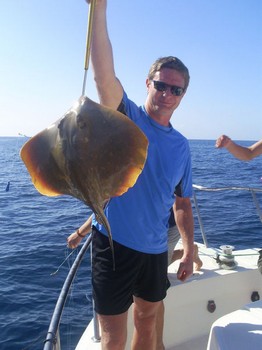 Vanlig stingray Cavalier & Blue Marlin Sport Fishing Gran Canaria