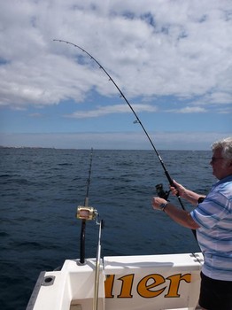 Fighting Cavalier & Blue Marlin Sport Fishing Gran Canaria