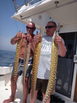 29/03 Tiger Morays Cavalier & Blue Marlin Sportfischen Gran Canaria