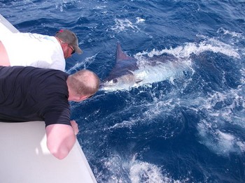 15/07 Blue Marlin Cavalier & Blue Marlin Sport Fishing Gran Canaria