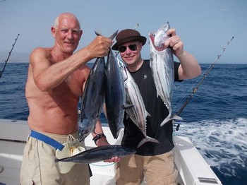 Skipjack Tuna's Cavalier & Blue Marlin Sport Fishing Gran Canaria