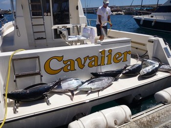 Albacore Tunas Cavalier & Blue Marlin Sport Fishing Gran Canaria