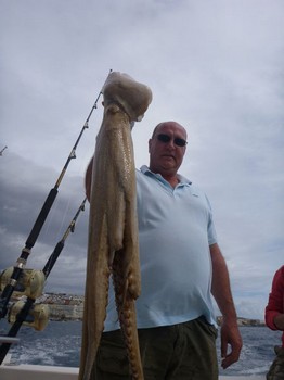 Octopus Cavalier & Blue Marlin Sport Fishing Gran Canaria