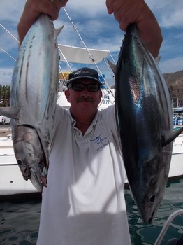Skipjack Thunfisch Cavalier & Blue Marlin Sportfischen Gran Canaria