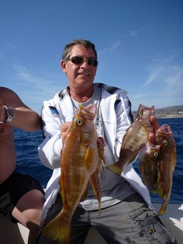 Comber Cavalier & Blue Marlin Sport Fishing Gran Canaria
