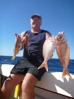 Schnapper Cavalier & Blue Marlin Sport Fishing Gran Canaria