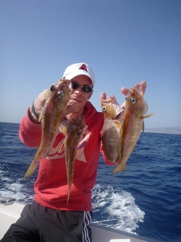 Comber fish Cavalier & Blue Marlin Sport Fishing Gran Canaria
