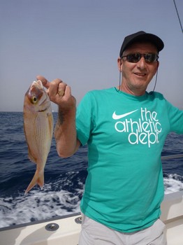 Roter Schnappfisch Cavalier & Blue Marlin Sport Fishing Gran Canaria