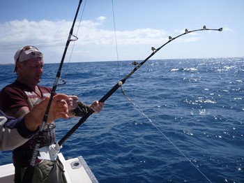 Süchtig Cavalier & Blue Marlin Sport Fishing Gran Canaria
