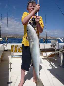Blå fisk Cavalier & Blue Marlin Sport Fishing Gran Canaria