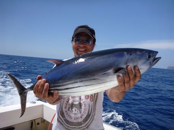 Skipjack Thunfisch Cavalier & Blue Marlin Sport Fishing Gran Canaria