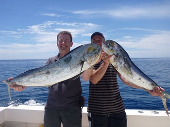 Dorado's Cavalier & Blue Marlin Sport Fishing Gran Canaria