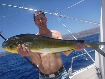 Dorado Cavalier & Blue Marlin Sportfischen Gran Canaria