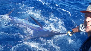 Etiquetar y liberar Pesca Deportiva Cavalier & Blue Marlin Gran Canaria