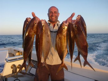 Amberjacks Cavalier & Blue Marlin Sportfischen Gran Canaria