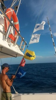 Fiësta Pesca Deportiva Cavalier & Blue Marlin Gran Canaria