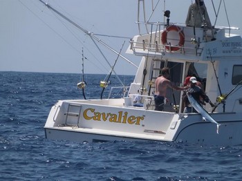 boat Cavalier Cavalier & Blue Marlin Pesca sportiva Gran Canaria