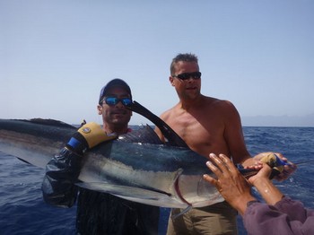 Release Me !!! Cavalier & Blue Marlin Pesca sportiva Gran Canaria
