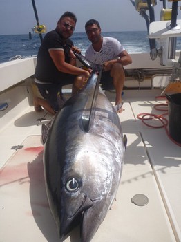 Giant Big Eye Tuna - 145 kg Big Eye Tuna caught by Federico di Sistro Cavalier & Blue Marlin Sport Fishing Gran Canaria