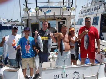 Skipjack Tunas - Nice catch of Skipjack Tuna Cavalier & Blue Marlin Sport Fishing Gran Canaria