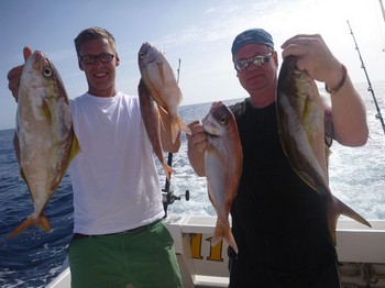 Good Fishing - Amberjacks & Red Snappers caught on the boat Cavalier Cavalier & Blue Marlin Sport Fishing Gran Canaria