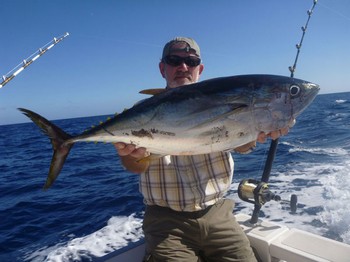 Yellowfin Tuna - Freek Morees caught this morning this beautifull Yellowfin Tuna Cavalier & Blue Marlin Sport Fishing Gran Canaria