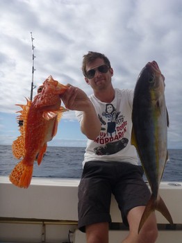 Scorpion fish - Olle Ljunggren caught a Scorpion fish and an Amberjack Cavalier & Blue Marlin Sport Fishing Gran Canaria