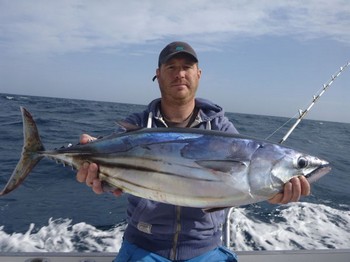 Skipjack Tuna caught by Leon van Ooijen from Holland Cavalier & Blue Marlin Sport Fishing Gran Canaria