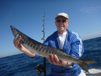 Barracuda - Good sized Barracuda for this Finnish angler Cavalier & Blue Marlin Sport Fishing Gran Canaria