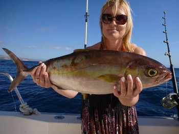 Well Done - Great Catch Cavalier & Blue Marlin Sport Fishing Gran Canaria