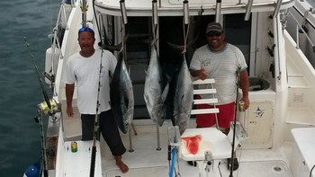 Tuna !!! - 2 Big Eye and 1 Albacore caught on the boat Blue Marlin 3 Cavalier & Blue Marlin Pesca sportiva Gran Canaria