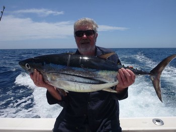 Albacore Thunfisch Cavalier & Blue Marlin Sportfischen Gran Canaria