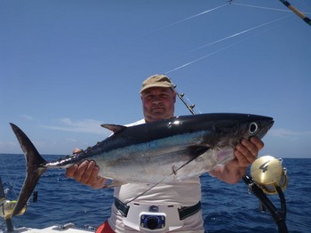 Albacore Thunfisch - Steve Thornton aus Devon Cavalier & Blue Marlin Sportfischen Gran Canaria