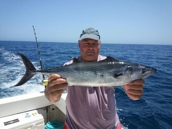 Bonito del Atlántico Norte capturado por Steve Thornton de Inglaterra Pesca Deportiva Cavalier & Blue Marlin Gran Canaria