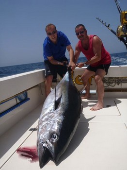 Big Eye Thunfisch von Ben Rennote aus Belgien gefangen Cavalier & Blue Marlin Sportfischen Gran Canaria