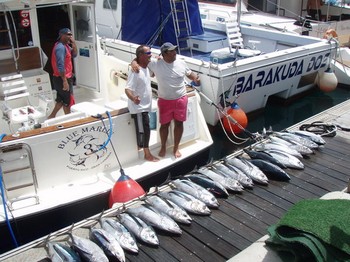 20 Albacores caught by the boat Blue Marlin 3 Cavalier & Blue Marlin Pesca sportiva Gran Canaria
